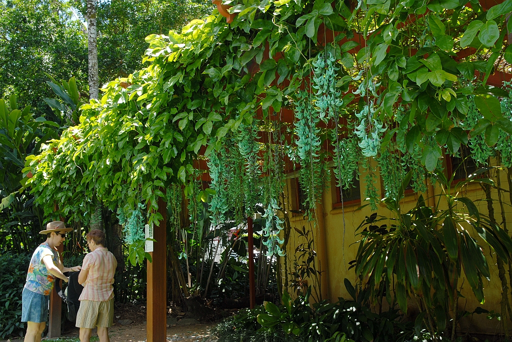 0210 Cairns Botanic Gardens.jpg